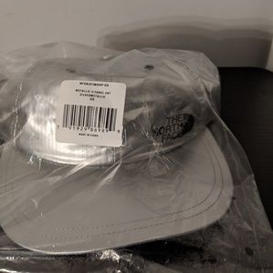 Supreme metallic 6-panel
